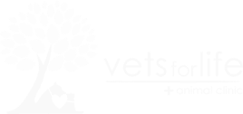 Vet clinic in the east Singapore