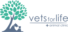 Emergency Vet Clinic in Singapore