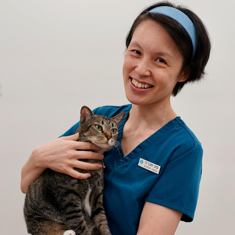 clara-chua