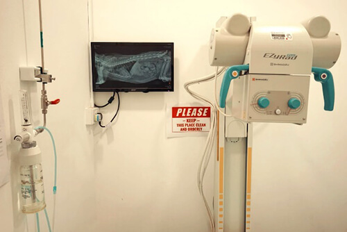 diagnostic