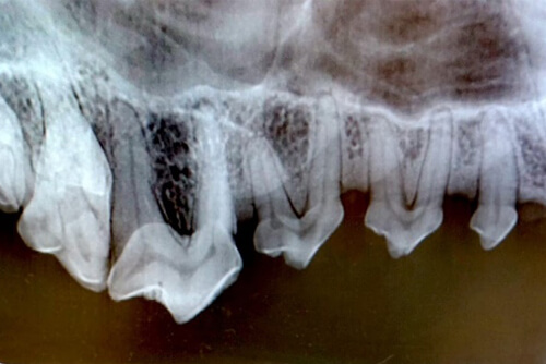 diagnostic