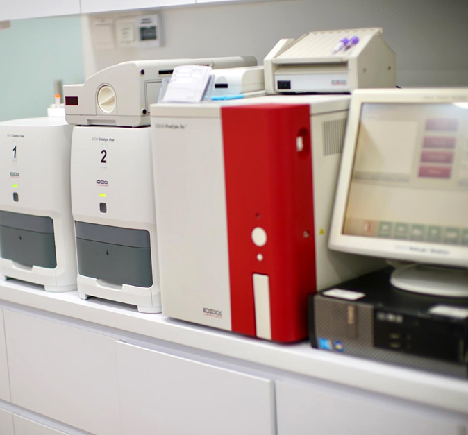 lab