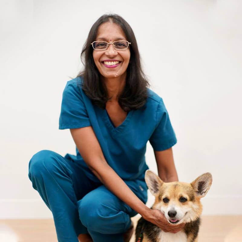 Pet doctors in Singapore