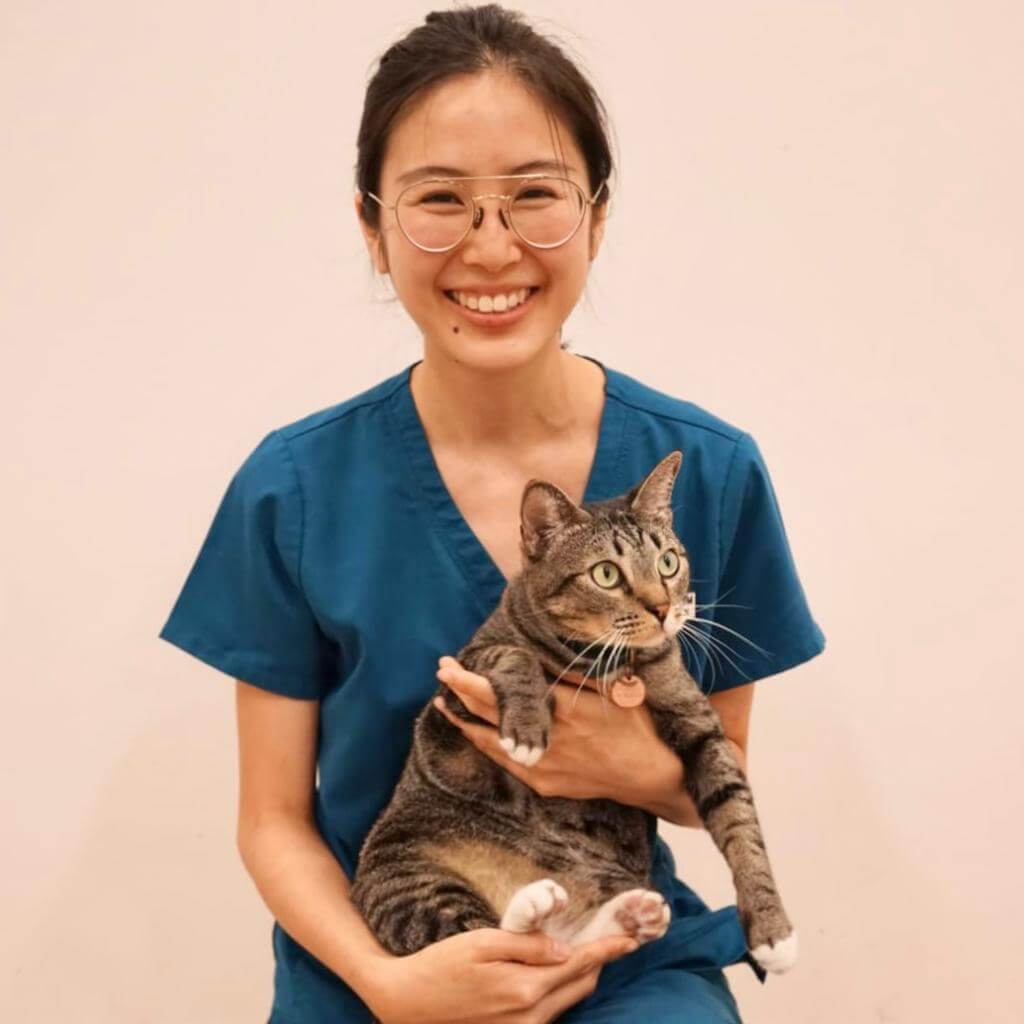 Pet Clinic in Singapore