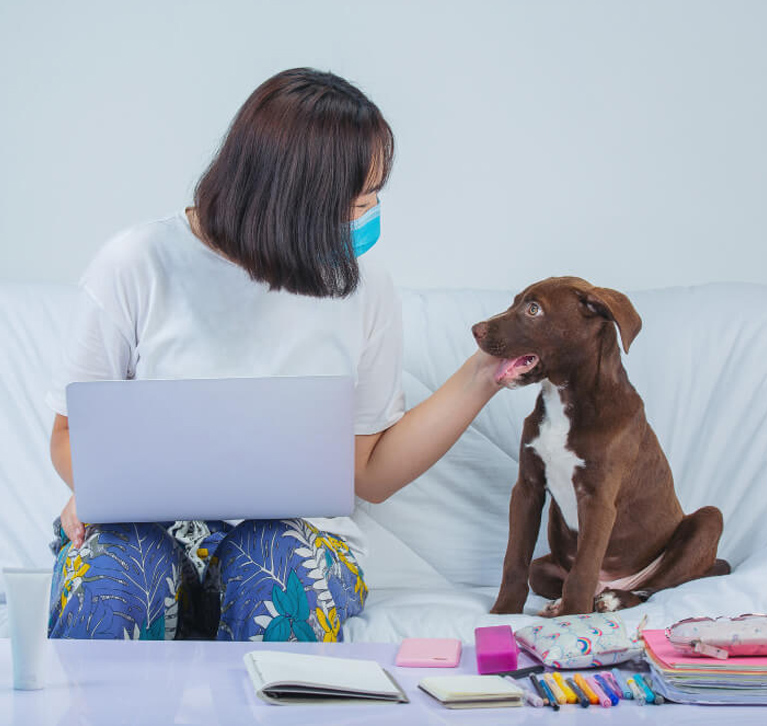 Vet Clinic in Singapore