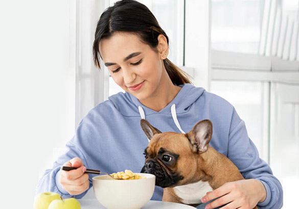 Trusted Pet Clinic in Singapore